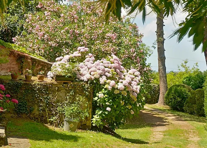 Macchiaioli Painters' Near Pisa Fauglia